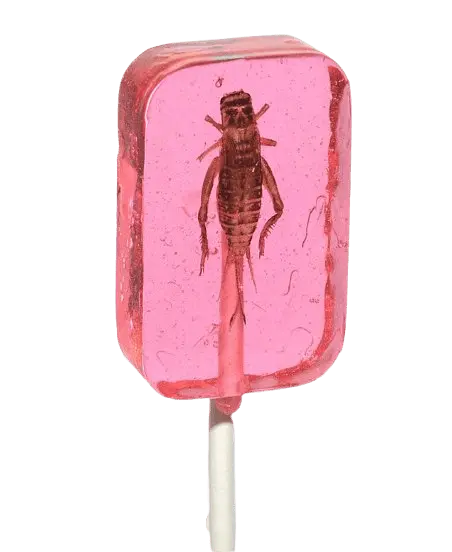 Льодяник із комахою Hotlix Assorted Cricket Sucker 1шт, 28г - фото 6