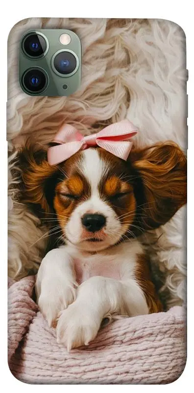 TPU чохол Demsky Sleepy spaniel для Apple iPhone 11 Pro Max (6.5")
