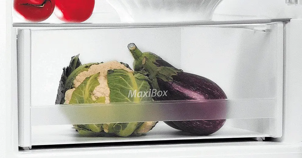 Холодильник Indesit LI6S1EW - фото 4