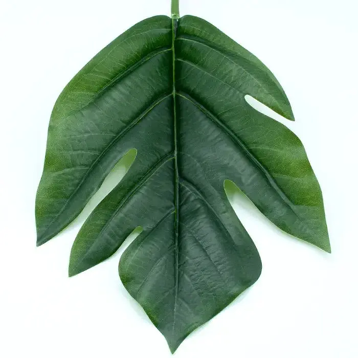 Штучне листя Engard  Monstera 56см (TW-48) - фото 4