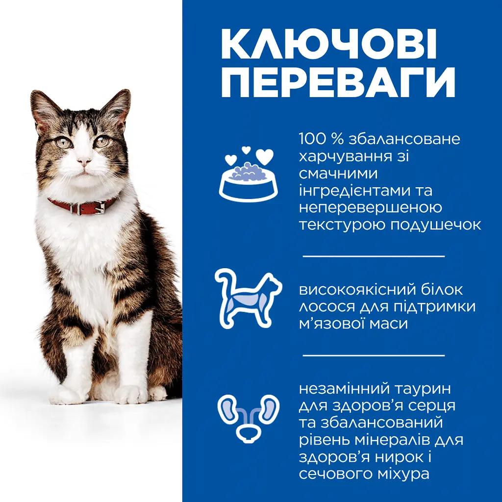 Сухий корм Hill's SP Adult Culinary Creations для дорослих котів, із лососем та морквою, 10 кг - фото 2