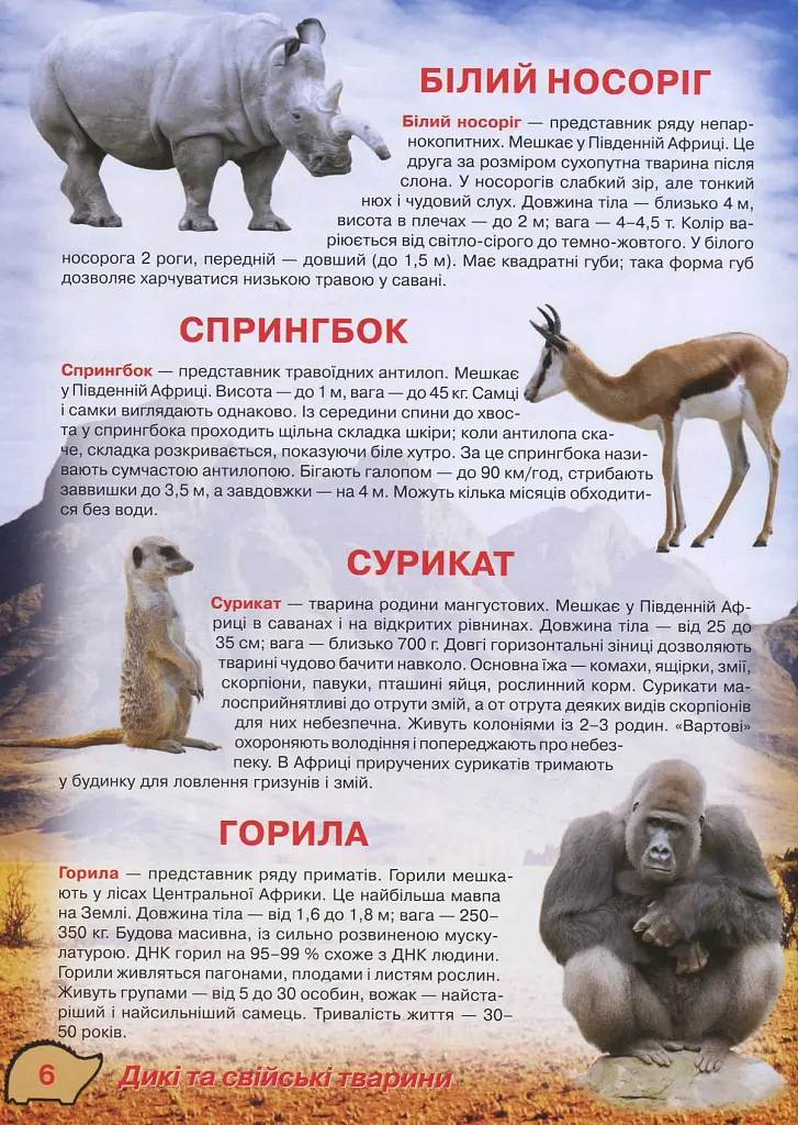 Ілюстрований атлас живої природи - фото 5