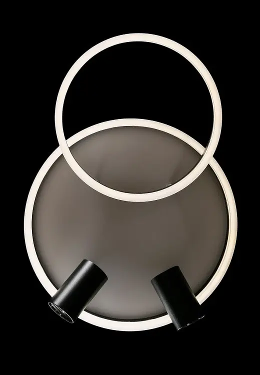 Люстра стельова LED Splendid Ray L2464/550/2+2, 4 лампи, білий/чорний, димер, сучасний стиль - фото 9