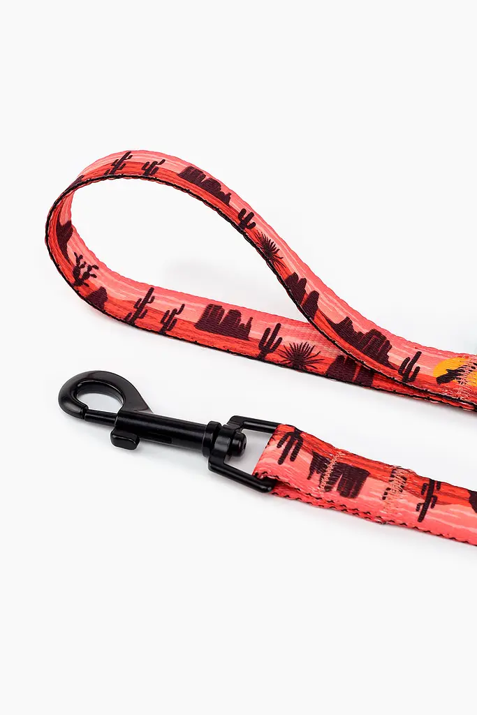 Повідець ТМ HIDOG Arizona , ширина 25 мм (довжина 152 см) (2100102335012A)(SN) shop (2100102335012) - фото 3