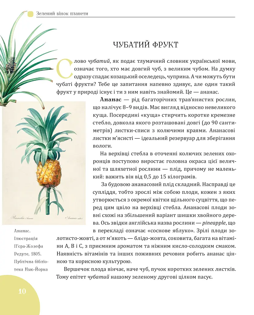 Зелений вінок планети. Рослини й людство - Кирило Булаховський - фото 6