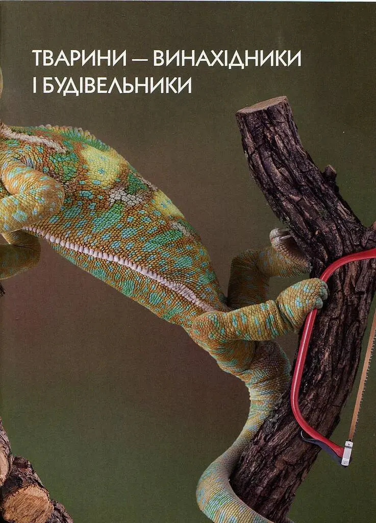 Енциклопедія для допитливих А5 : Тварини - винахідники і будівельники (Українська, 01 КРЕЙДОВАНИЙ ) - Андрій Гапченко - фото 4