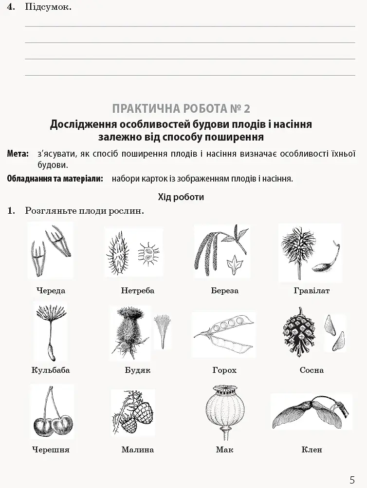 Біологія і екологія. Профільний рівень. Зошит для практичних робіт. 11 клас - фото 8