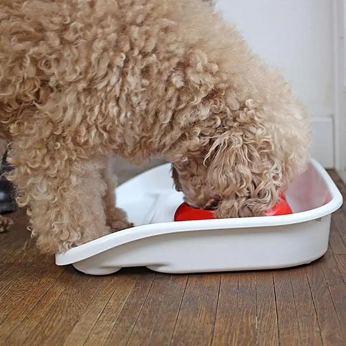 Пластиковий піднос з мисками для котів і собак Ferplast LINDO (FR71910021) - фото 10