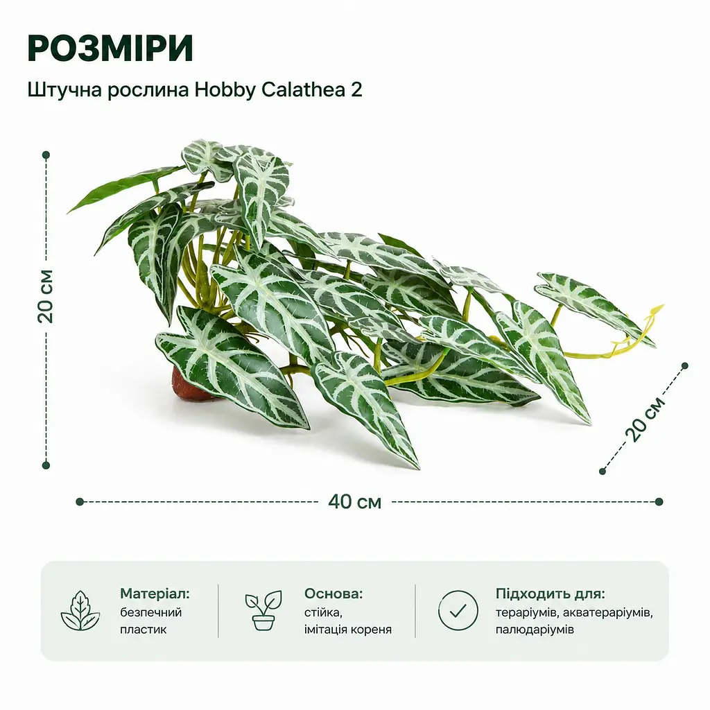 Штучна рослина Hobby Calathea 2 40x20 см (37715) для тераріуму, акватераріуму та палюдаріуму - фото 2