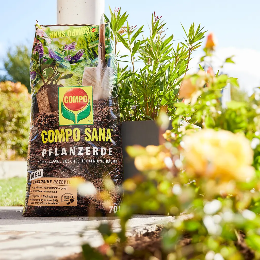 Торфосуміш для усіх видів хвойних рослин COMPO SANA® 40 л - фото 11