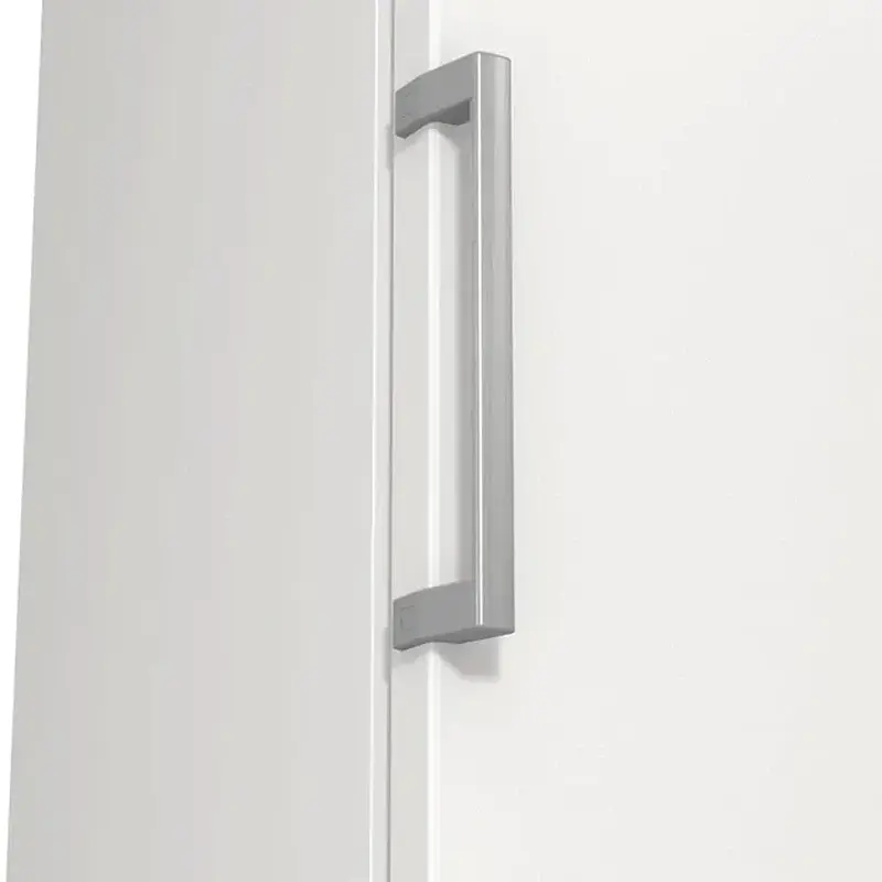 Морозильна камера GORENJE FN 619 EEW5 (ZOF3168SBD) - фото 3