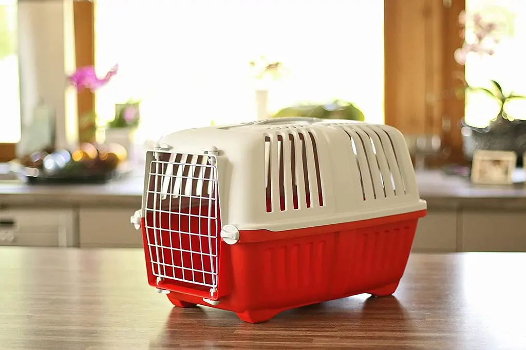 Переноска для тварин 60x40x42 см MPS PRATIKO 3 Red (двері метал) - фото 6