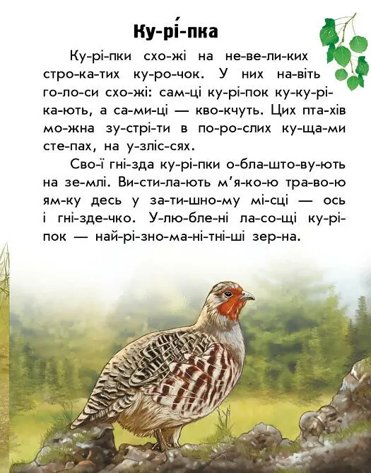 Читаю про Україну. Тварини степів - Юлія Каспарова - фото 3