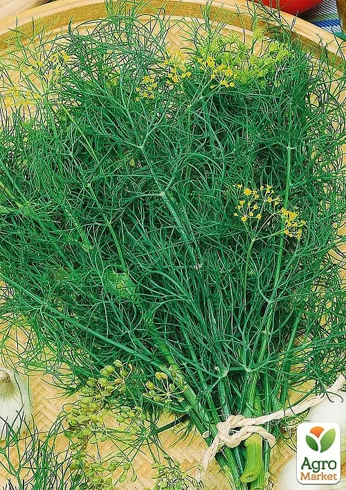 Насіння Agro-Market Кріп Атлант на вагу ціна за 20 г (177356) - фото 2