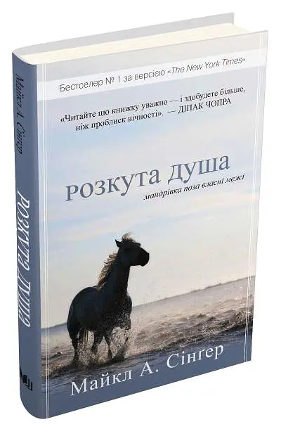 Розкута душа. Мандрівка поза власні межі - Майкл А. Сінгер - фото 2