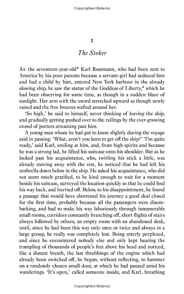 The Man Who Disappeared (America) - фото 8