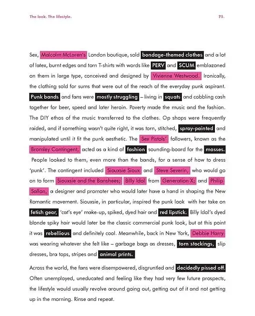 A Field Guide to Punk - фото 4