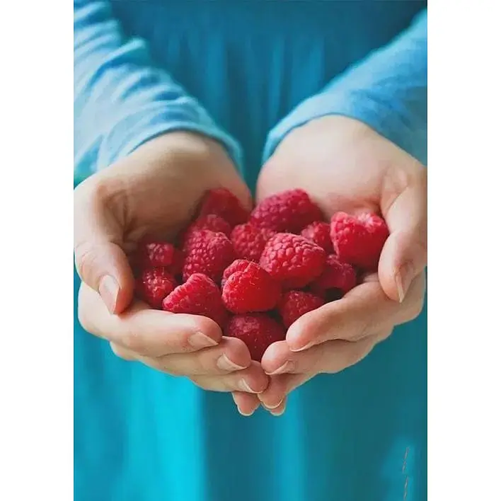 Саджанець Agro-Market Малина Недосяжна (ремонтантний зимостійкий великоплідний сорт) 2 шт. в упаковці (44812) - фото 4
