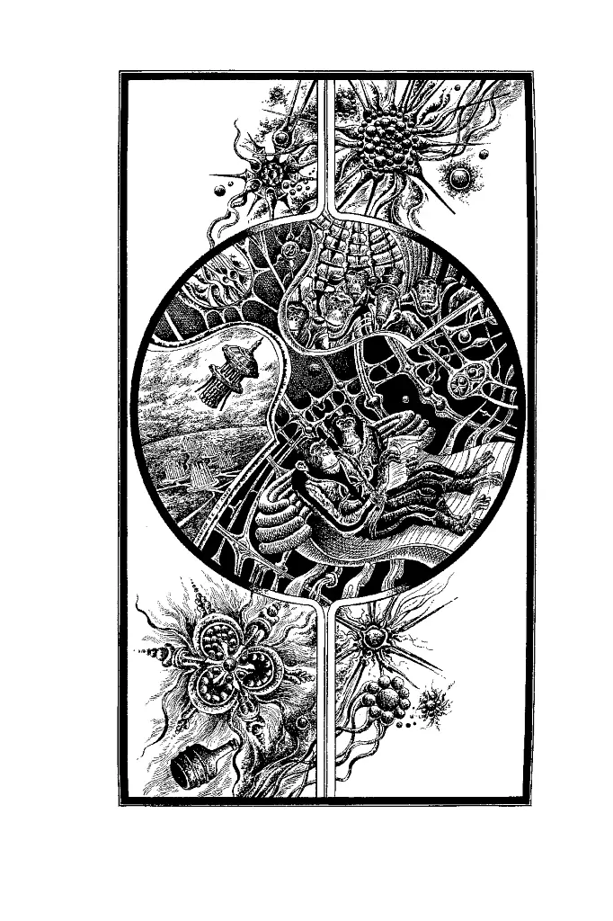 Планета мавп - фото 11