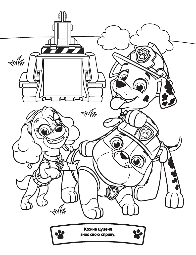Веселые раскраски Paw Patrol (121655) - фото 2