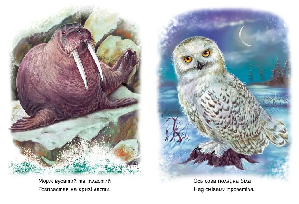Дитяча книжка Малятам про звіряток: Тварини світу Ранок М212014У shop (9786170978677) - фото 4