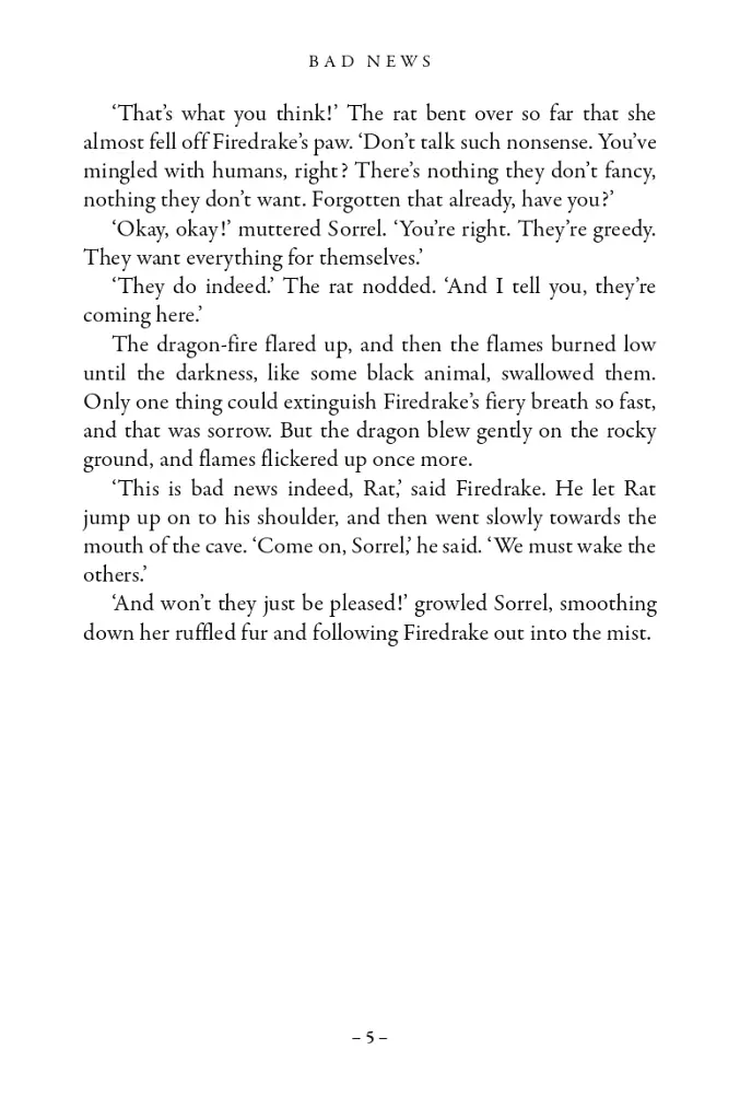 Dragon Rider. Book 1 - фото 6