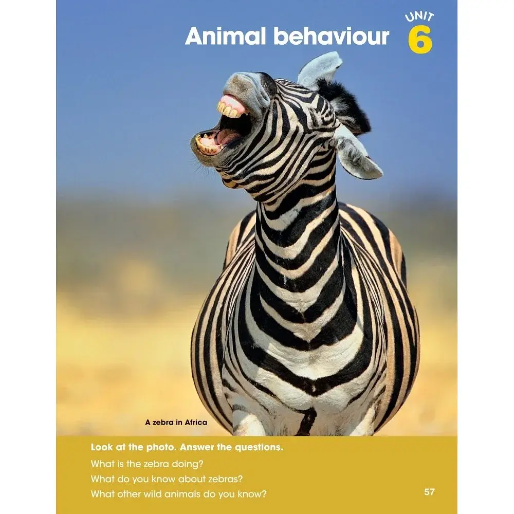 Look 3. Student’s Book - фото 4