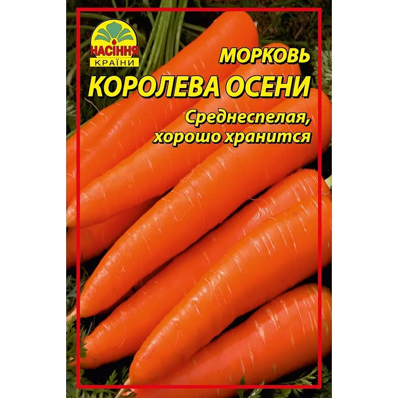 Насіння моркви Королева осені 0,5 кг - фото 3