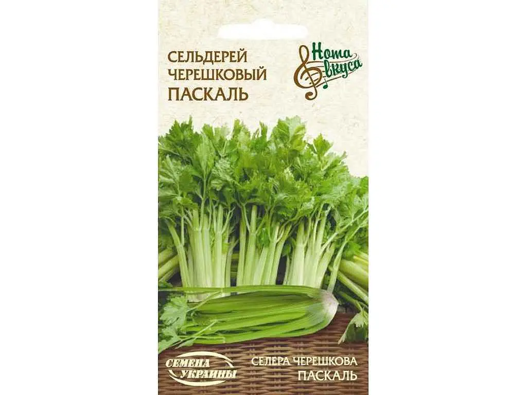Селера черешкова СЕМЕНА УКРАИНЫ (20 пачок) ПАСКАЛЬ НВ 0,5г (рс)
