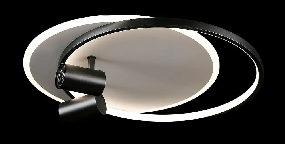 Люстра стельова LED Splendid Ray L2451/480/2+2, 4 лампи, 56 см, чорний та білий, сучасний стиль, з пультом, димер - фото 6