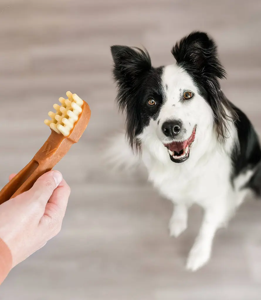 Натуральні ласощі для зубів собак WHIMZEES Dental Treats Toothbrush S 1 шт. - фото 3