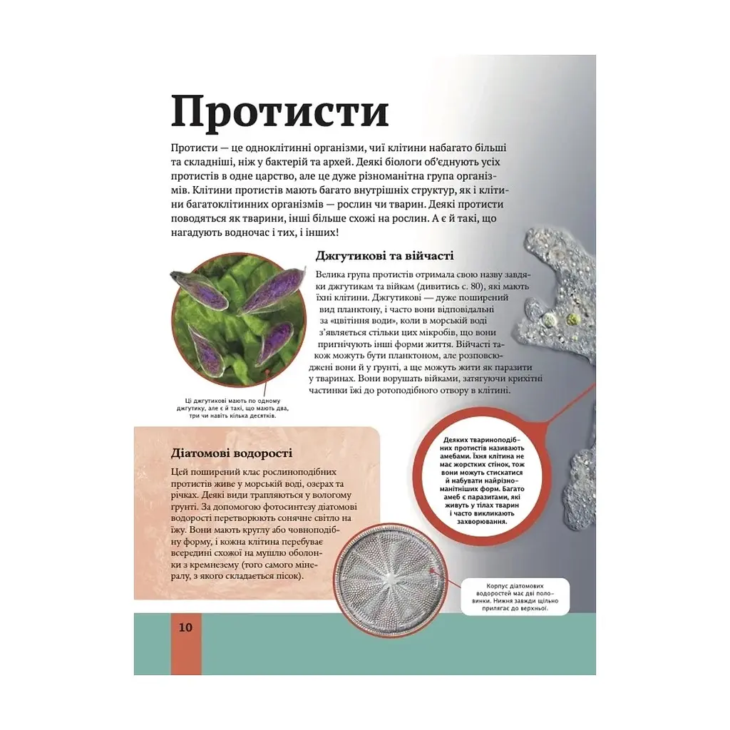 Книга Дитяча енциклопедія біології - Том Джексон Vivat (9786171707825) - фото 2