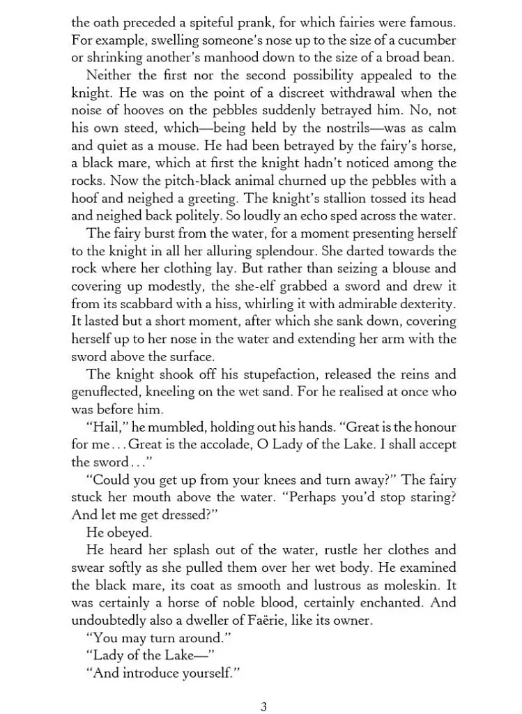 The Lady of the Lake. The Witcher Book 5 - фото 4