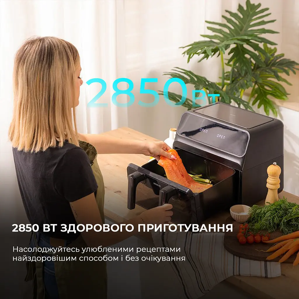 Мультипечь (аэрогриль-фритюрница) CECOTEC Cecofry Advance 9000 Window - фото 7
