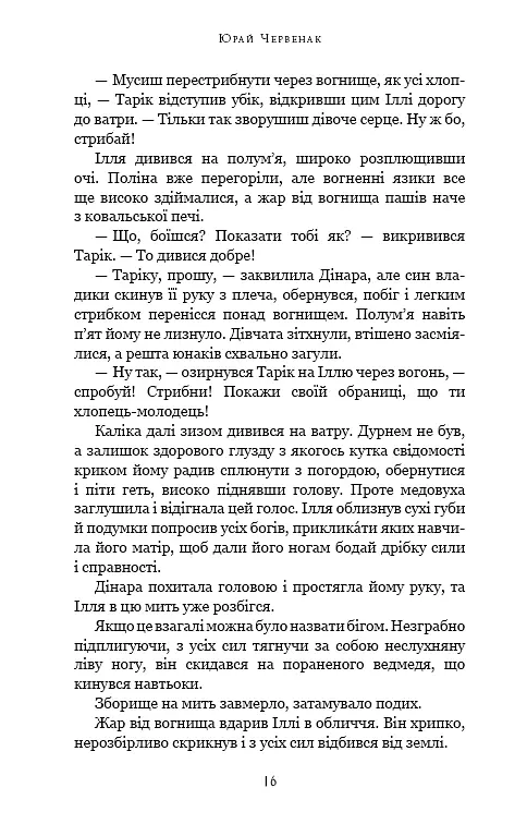 Богатир. Книга 1. Сталеве жезло - Юрай Червенак - фото 11
