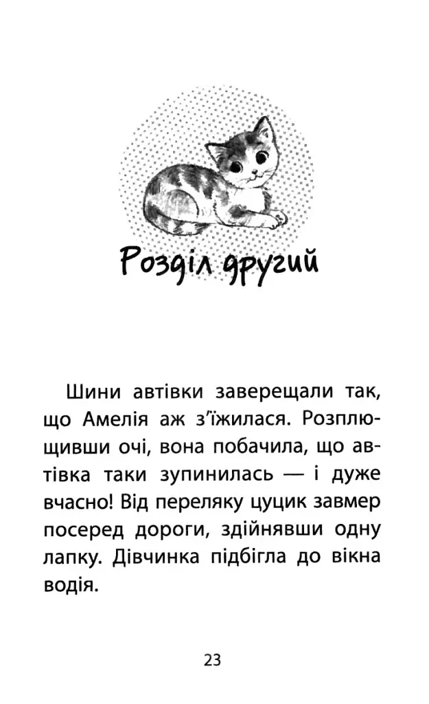 Історії порятунку. Книга 1. Котик-безхатько - фото 2