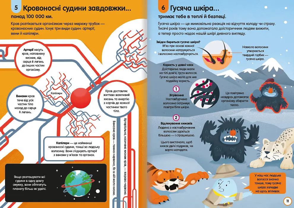 100 фактів про людське тіло. Автор Алекс Фріт, Мінна Лейсі, Джонатан Мелмот і Меттью Олдгем - фото 5