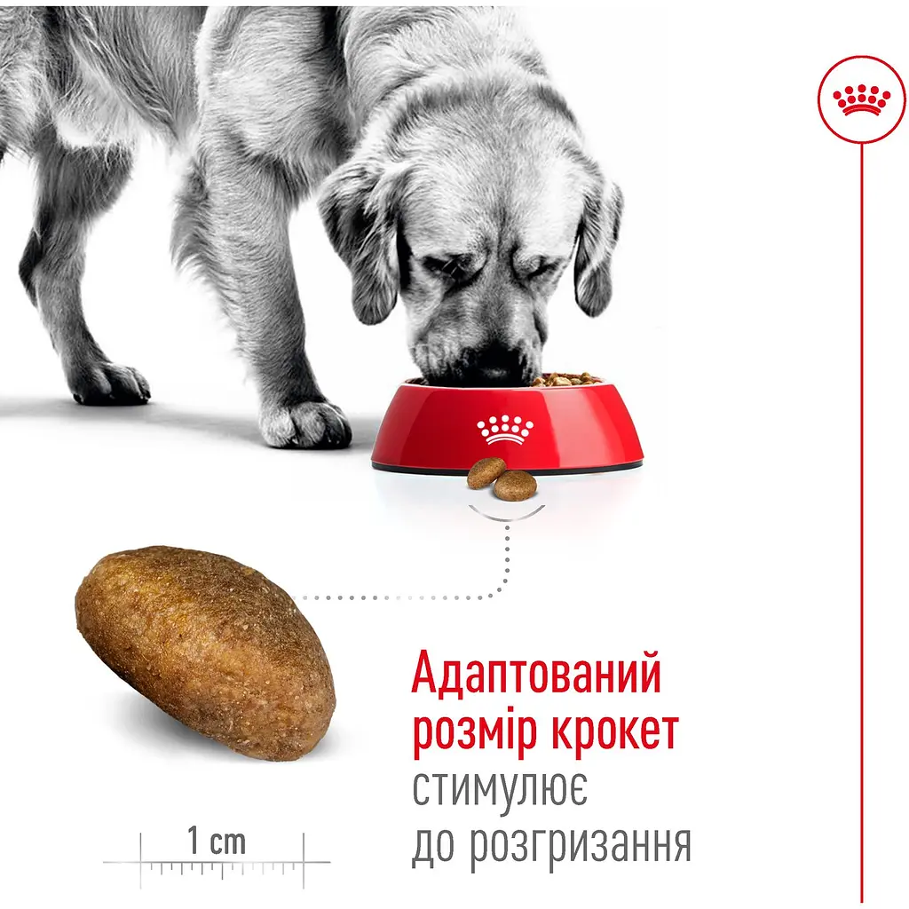 Сухий корм Royal Canin Maxi Adult для дорослих собак великих порід з м'ясом птиці та кукурудзою 15 кг - фото 5