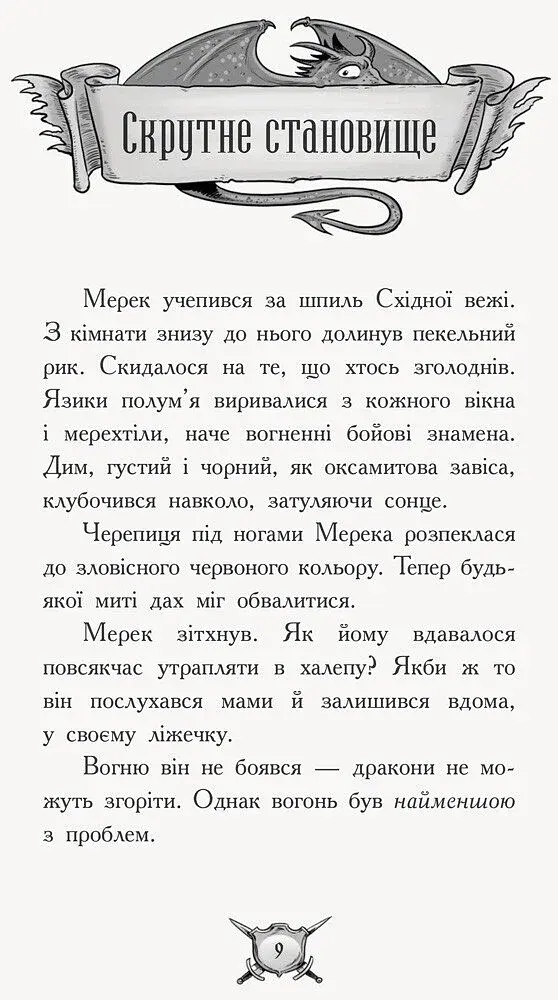 Вогонь! Лицар - Дракон. Книга 1 - фото 5