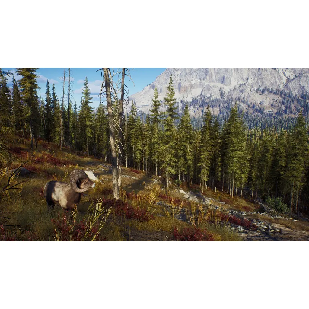 Ключ активації Microsoft Way of the Hunter - Ultimate Edition для Xbox Series S/X - фото 2