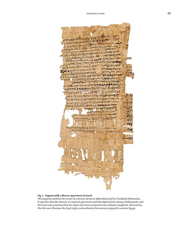 An Egyptian Book of the Dead: The Papyrus of Sobekmose - Пол Ф. О'Рурк - фото 6
