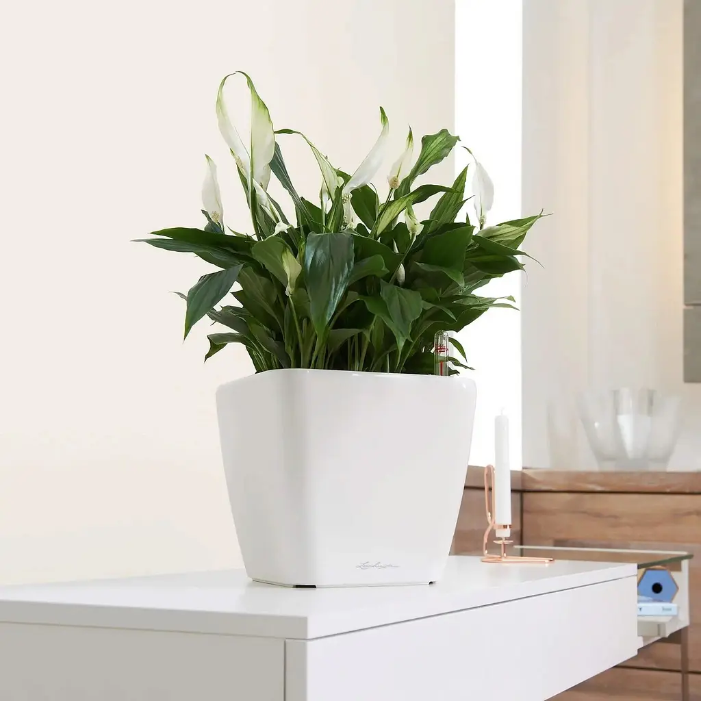 Вазон Lechuza Quadro Premium LS 35 антрацит (16163) - фото 5