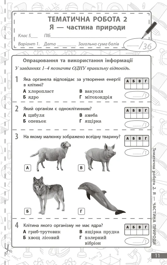 Довкілля. 5 клас. Поточне та підсумкове оцінювання + діагностувальні роботи - К. В. Кот - фото 4