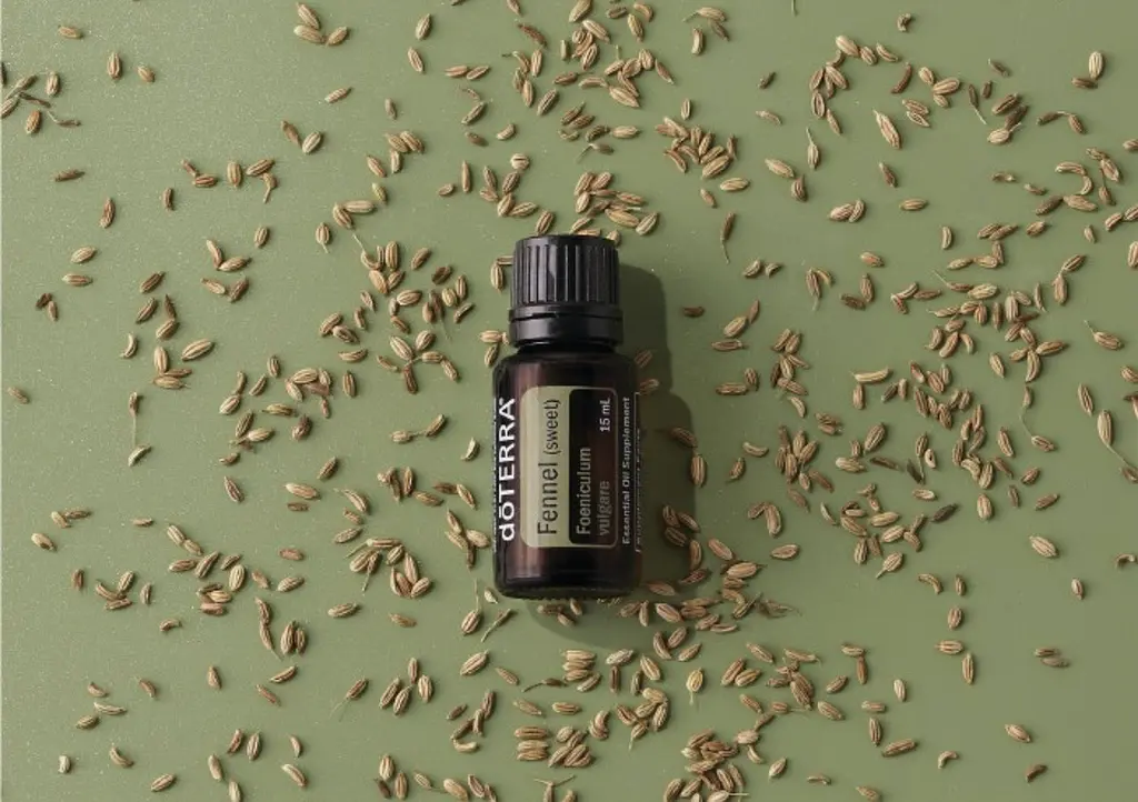 Ефірна олія фенхелю doTERRA Fennel 15 мл — для травлення, детоксу та ароматерапії - фото 2