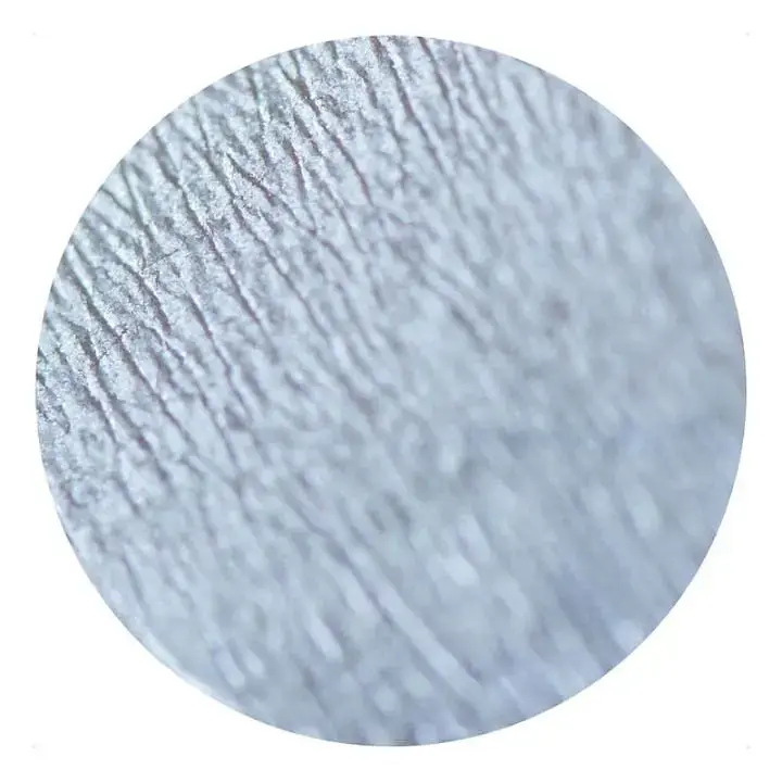 Рассыпчатые тени Sinart Make-Up With Passion тон 53 (Crystal Silver White) 1 г - фото 2
