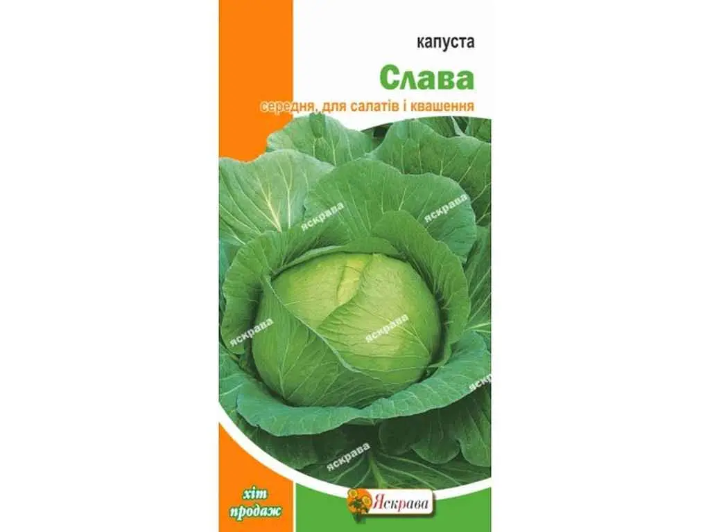 Капуста білоголова ЯСКРАВА Слава (20 пачок) 0,5 г