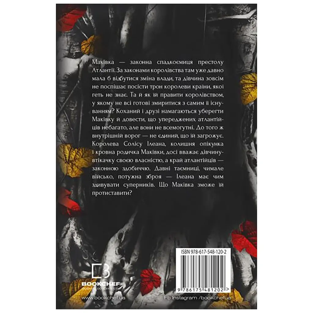 Книга Кров і попіл: Корона з позолочених кісток - Дженніфер Л. Арментраут BookChef (9786175481202) - фото 4