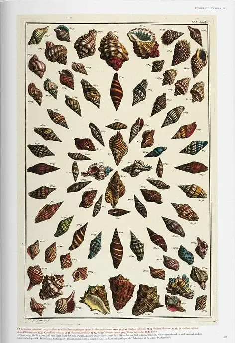Seba. Cabinet of Natural Curiosities - фото 8