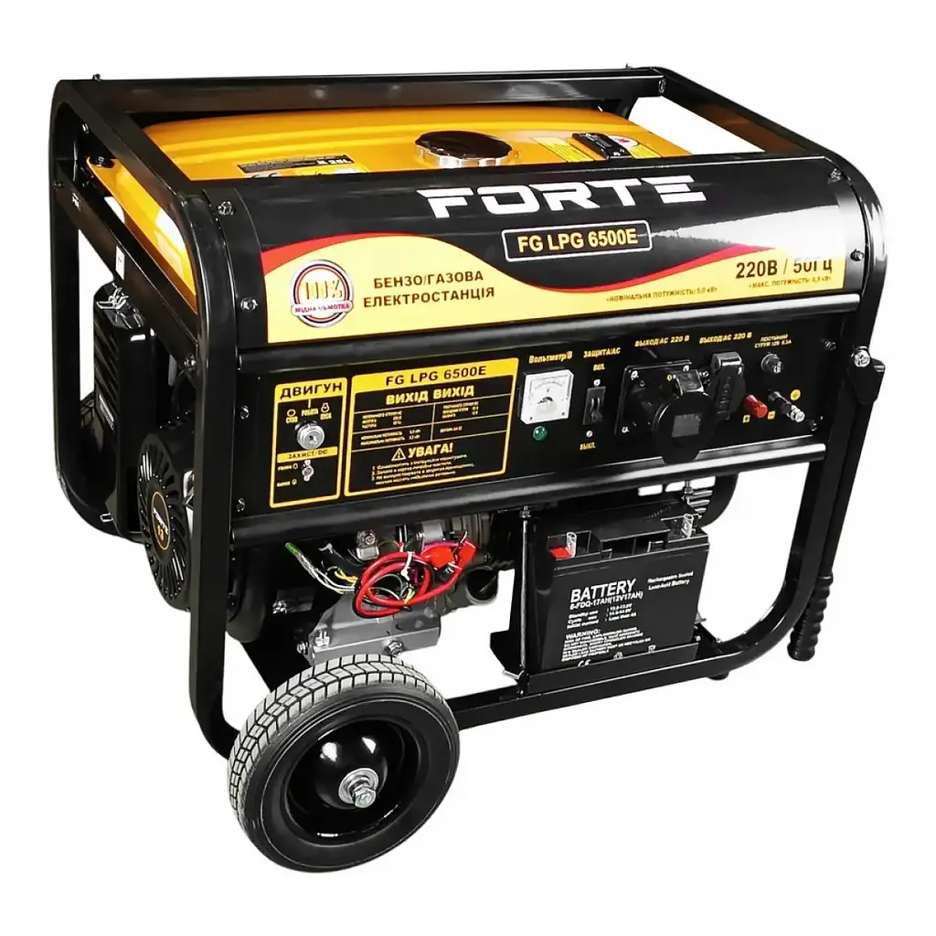Генератор двухтопливный Forte FG LPG-6500E - фото 5