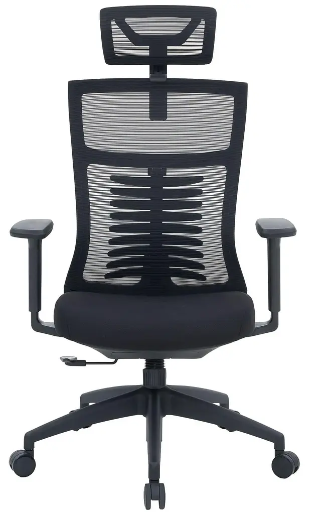 Офісне крісло OfficePro Balance OC550-B-B-B (OC550-B-B-B) - фото 2